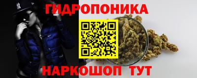 ГАЛЛЮЦИНОГЕННЫЕ ГРИБЫ Кулебаки