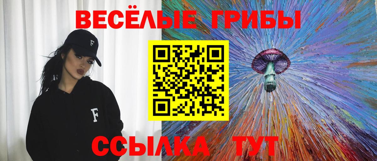 Псилоцибиновые грибы MAGIC MUSHROOMS Ейск
